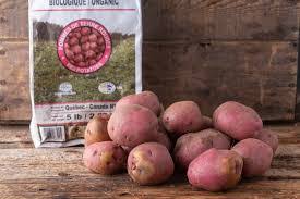 Patates biologiques 5lbs