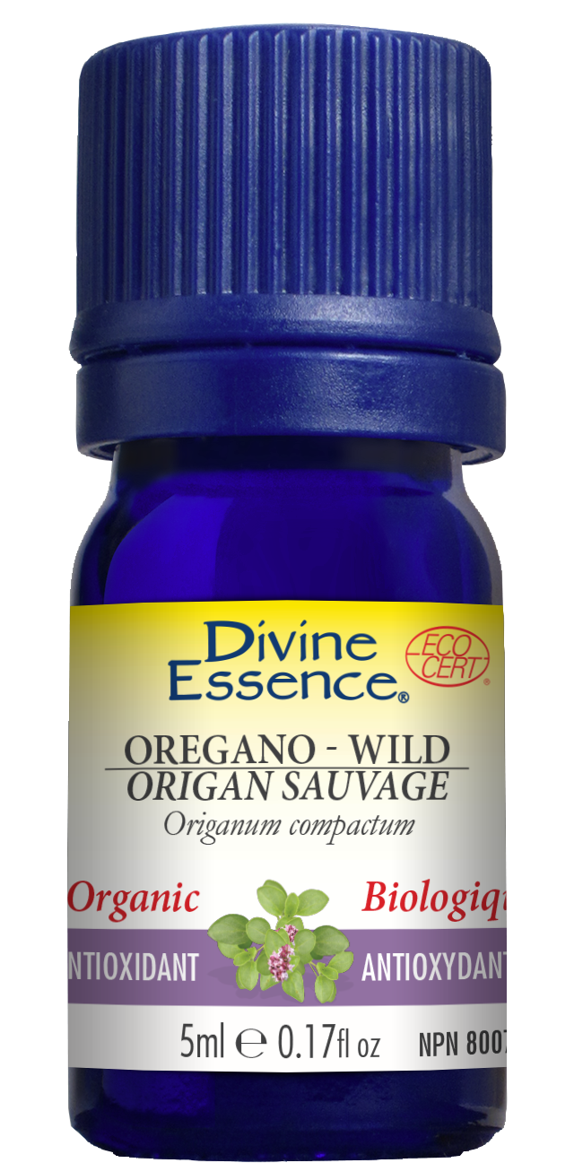 L'huile essentielle d'origan bio