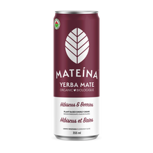 Yerba Maté boisson énergisante Saveurs variés - 355ml - Matéina