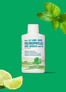 Landart - Chlorophylle concenté 5x Liquide - Saveurs et formats multiples