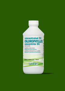 Landart - Chlorophylle concenté 5x Liquide - Saveurs et formats multiples