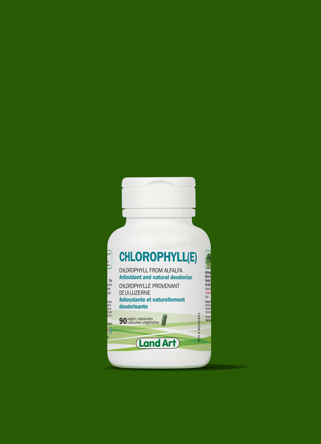 LandArt - Chlorophylle Vegan en Capsule - 90vcaps